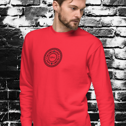 SUDADERA GRUESA HOMBRE CÍRCULO