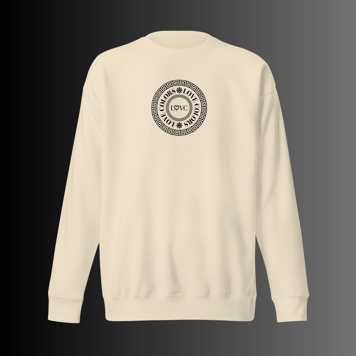 SUDADERA GRUESA HOMBRE CÍRCULO