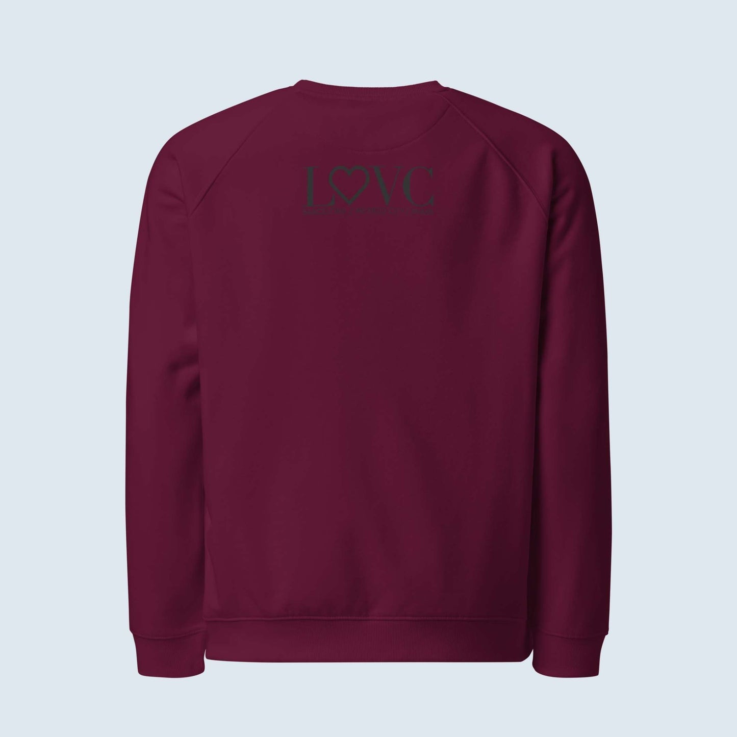 SUDADERA ORGÁNICA HOMBRE ETNIA
